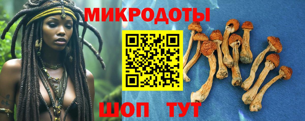 наркошоп  Псилоцибиновые грибы MAGIC MUSHROOMS  Вход с VPN  Ухта 